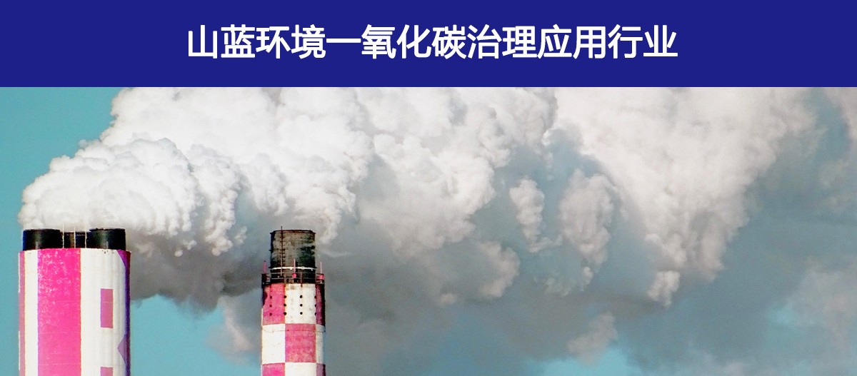 一氧化碳治理.jpg